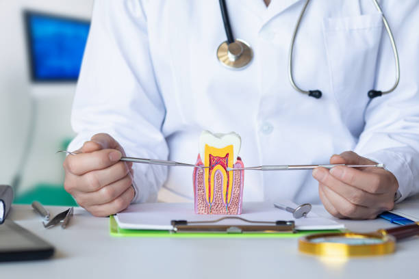 Best Same-Day Emergency Dentist in Forsyth, GA